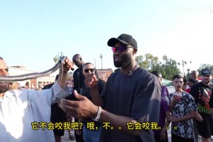 NBA球星布朗在摩洛哥街頭讓眼鏡蛇纏住脖子？同行的法爾直接慫了